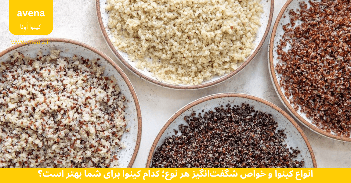 انواع کینوا کینوا رنگی از کجا بخریم کینوا رنگی چیست
